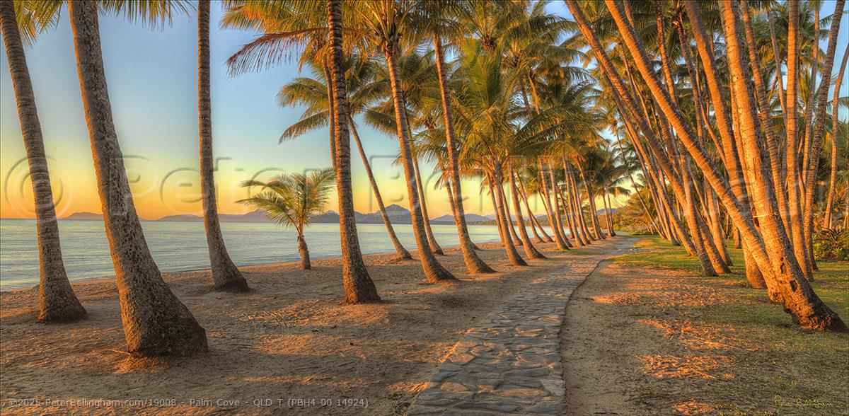 Peter Bellingham Photography Palm Cove - QLD T (PBH4 00 14924)